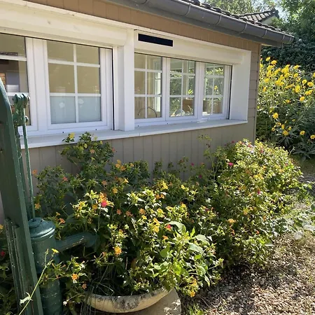 Historique A Avec Jardin Et Wifi Inclus - Fr-1-381-635 * Тур