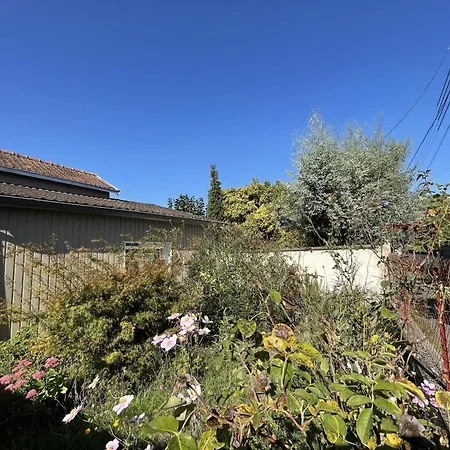 Historique A Avec Jardin Et Wifi Inclus - Fr-1-381-635 * Tours