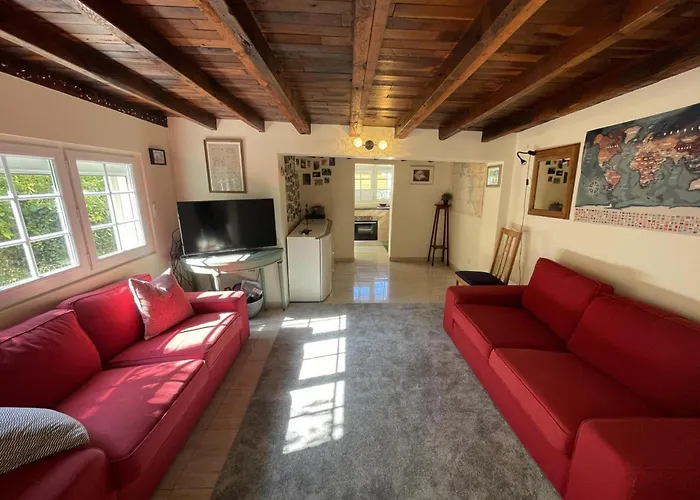 Historique A Avec Jardin Et Wifi Inclus - Fr-1-381-635