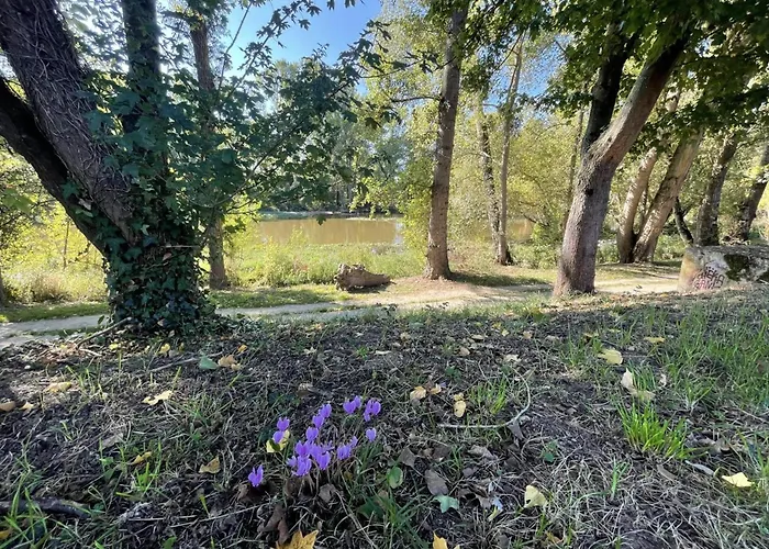 Historique A Avec Jardin Et Wifi Inclus - Fr-1-381-635 Σπίτι διακοπών